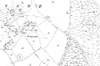 The eastern half of the village in 1924